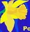 Pola Nadziei