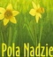 Zapraszamy na finał akcji POLA NADZIEI